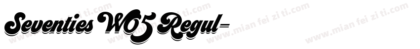 Seventies W05 Regul字体转换
